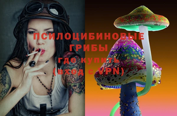 кокс Алзамай