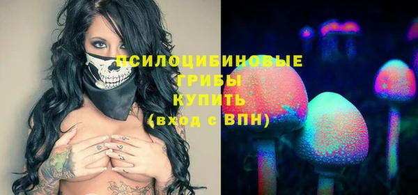 герыч Алексин