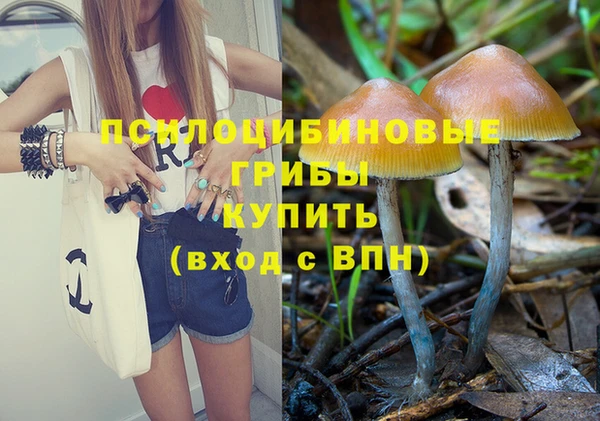 герыч Алексин
